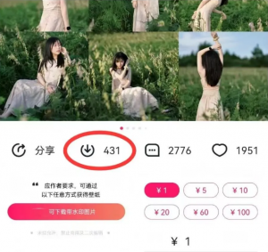 最新图虫搬运项目,收益无上限,利用AI小白也可日赚500+-简创项目网