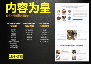 刘老师·外贸询盘增长秘籍从0到1的实战指南-简创项目网