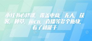 小红书必修课，覆盖电商，无人，获客，种草，mcn，直播等多个板块，看了就能干-简创项目网