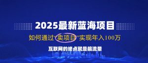 2025最新蓝海项目，零门槛轻松复制，月入10万+，新手也能操作！-简创项目网