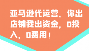 亚马逊代运营，你出店铺我出资金，0投入，0费用，无责任每天300分红，赢亏我承担-简创项目网