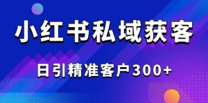 2025最新小红书平台引流获客截流自热玩法讲解,日引精准客户300+-简创项目网