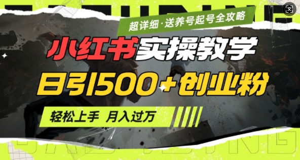 2月小红书最新日引500+创业粉实操教学【超详细】小白轻松上手，月入1W+，附小红书养号起号SOP-简创项目网