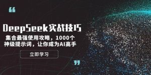DeepSeek实战技巧：集合最强使用攻略，1000个神级提示词，让你成为AI高手-简创项目网