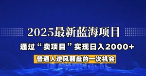 2025年蓝海项目，如何通过“网创项目”日入2000+-简创项目网