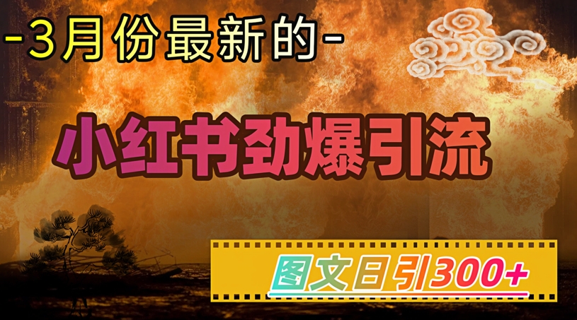 小红书超劲爆引流手段，图文日引300+轻松变现1W-简创项目网