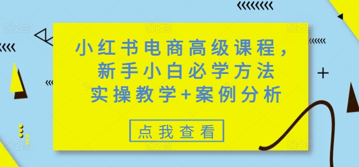 小红书电商高级课程，新手小白必学方法，实操教学+案例分析-简创项目网