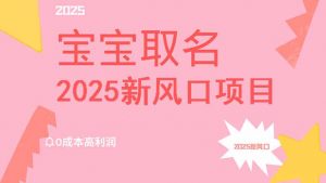 2025新风口项目宝宝取名，0成本高利润，附保姆级教程，月入过万不是梦-简创项目网