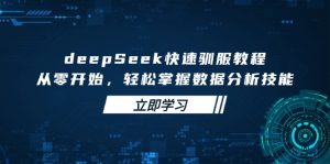 deepSeek快速驯服教程，从零开始，轻松掌握数据分析技能-简创项目网