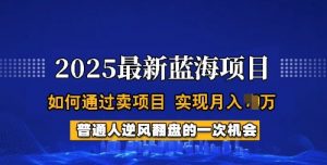 2025蓝海项目，普通人如何通过卖项目，实现月入过W，全过程【揭秘】-简创项目网