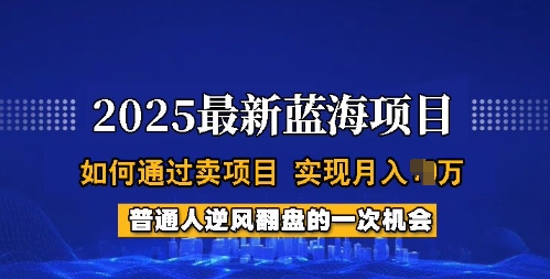 2025蓝海项目，普通人如何通过卖项目，实现月入过W，全过程【揭秘】-简创项目网