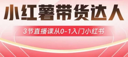 小红薯达人带货启航计划，3节直播课从0-1入门小红书-简创项目网