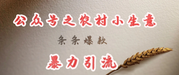 deepseek写农村小项目，条条爆款，暴力引流-简创项目网