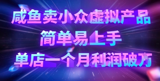 咸鱼卖小众虚拟产品，简单易上手，单店一个月利润破W-简创项目网