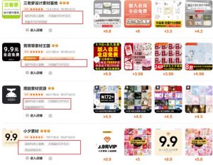 0成本虚拟项目实战手把手教你落地，单店月入5k-简创项目网