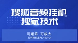 【搜狐音频挂G】独家技术，可矩阵可放大，红利期稳定月入8k【揭秘】-简创项目网