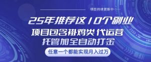 25年推荐这10个副业项目包含褂鸡类、代运营托管类、全自动打金类【揭秘】-简创项目网