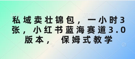 私域卖壮锦包，一小时3张，小红书蓝海赛道3.0版本， 保姆式教学-简创项目网