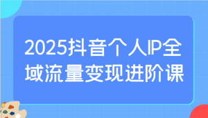 2025抖音个人IP全域流量变现进阶课：选爆品、抖音付费投流、千川投流实操及优化等-简创项目网