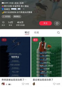 小红书治愈文案图文笔记，零门槛，一分钟制作轻松制作爆款作品月入万元-简创项目网