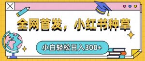 小红书种草，手机项目，日入3张，复制黏贴即可，可矩阵操作，动手不动脑【揭秘】-简创项目网