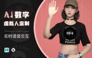 Ai数字人虚拟(智能体)实时语音交互特训营，​自行定制超写实角色AI数字人交互技术-简创项目网