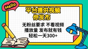 平台提供视频 你发布 无粉丝要求 不看视频播放量 发布就有钱 轻松一天300+-简创项目网