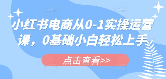 小红书电商从0-1实操运营课，0基础小白轻松上手-简创项目网