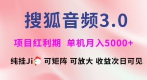 搜狐音频挂ji3.0.可矩阵可放大，独家技术，稳定月入5000+【揭秘】-简创项目网