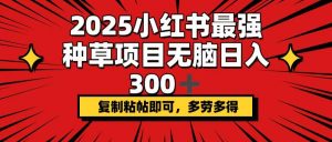 2025小红书最强种草项目，无脑日入300+，复制粘帖即可，多劳多得-简创项目网