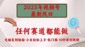 2025年视频号新风口，低门槛只需要无脑执行-简创项目网