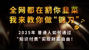 全网都在割你韭菜,我来教你做镰刀,2025普通人如何通过知识付费,实现财F自由【揭秘】-简创项目网