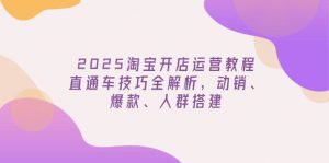 2025淘宝开店运营教程更新，直通车技巧全解析，动销、爆款、人群搭建-简创项目网