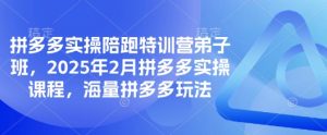 拼多多实操陪跑特训营弟子班，2025年2月拼多多实操课程，海量拼多多玩法-简创项目网