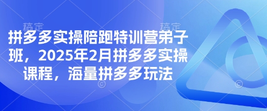 拼多多实操陪跑特训营弟子班，2025年2月拼多多实操课程，海量拼多多玩法-简创项目网