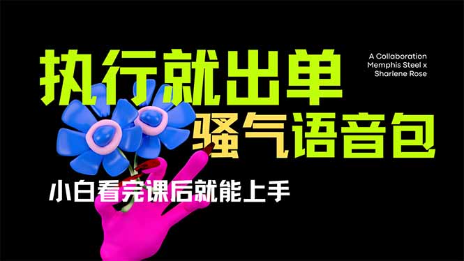 爆火全网的开车导航骚气语音包,只要执行就出单，小白看完课程就能实操…-简创项目网