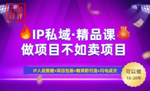 2025年“IP私域·密训精品课”,日赚3000+小白避坑年赚百万,暴力引流...-简创项目网