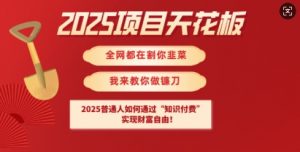 2025项目天花板普通人如何通过知识付费，实现财F自由【揭秘】-简创项目网