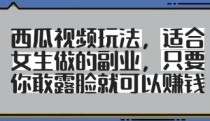 西瓜视频玩法,适合女生做的副业,只要你敢露脸就有收益-简创项目网