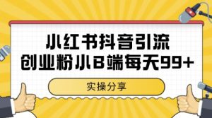 小红书抖音创业粉，小B端粉自热，日引99+的一个玩法【揭秘】-简创项目网