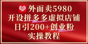 外面卖5980开设拼多多虚拟店铺：单日引流200+创业付费粉实战教程-简创项目网