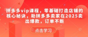 拼多多vip课程，零基础打造店铺的核心秘诀，助拼多多卖家在2025卖出爆款，订单不断-简创项目网