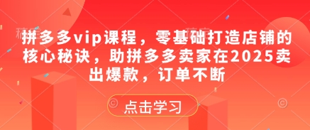拼多多vip课程，零基础打造店铺的核心秘诀，助拼多多卖家在2025卖出爆款，订单不断-简创项目网