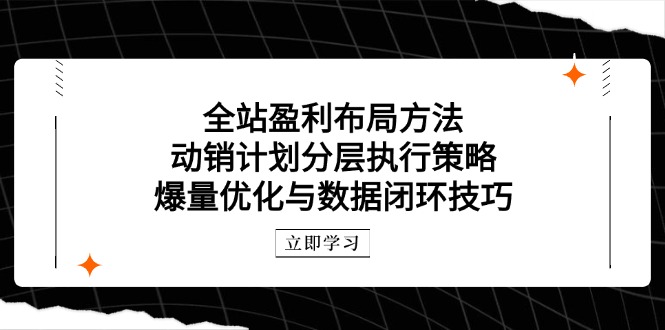 全站盈利布局方法：动销计划分层执行策略，爆量优化与数据闭环技巧-简创项目网