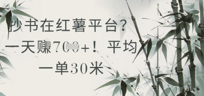 抄书在小红薯平台？平均一单30米，一天收益几张！-简创项目网