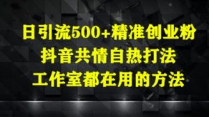 日引流500+精准创业粉，抖音共情自热打法，工作室都在用的方法-简创项目网