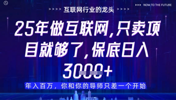 什么！25年你还在找项目做？风口早就变了，卖项目才是稳挣不赔【揭秘】-简创项目网