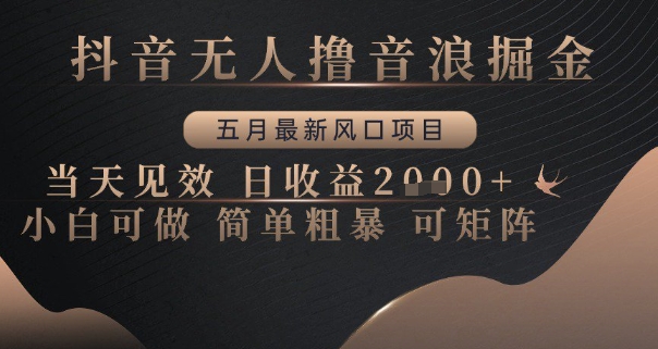 抖音无人撸音浪掘金，五月最新风口项目，当天见效，日收益多张，小白可做简单粗暴可矩阵【揭秘】-简创项目网