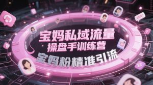 宝妈私域流量操盘手训练营,宝妈粉精准引流-简创项目网