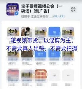 宝子哥头部团队短视频带货，以混剪为主，不需要真人出镜，不需要拍摄-简创项目网